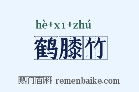 鹤膝竹是什么意思的图片